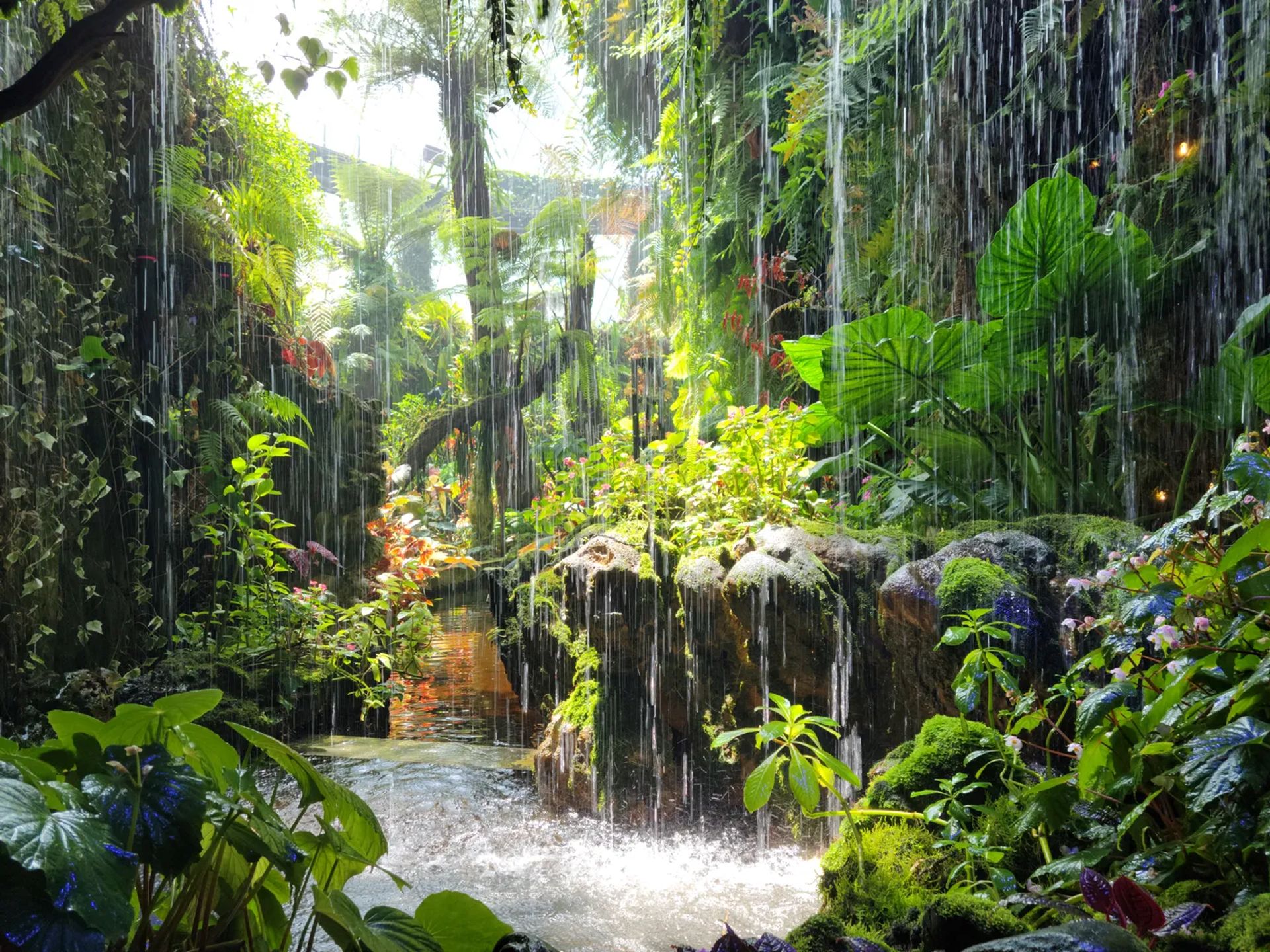 Cloud Forest Mini Waterfall
