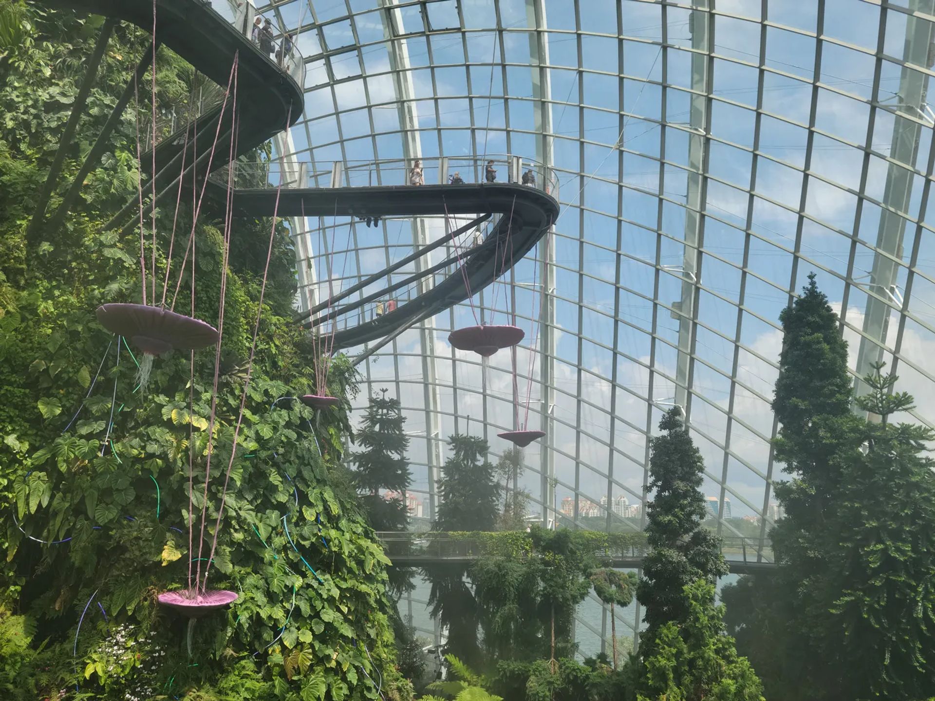 Cloud Forest Walkways